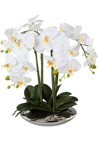 Creativ green Kunstorchidee »Deko-Orchidee Phalaenopsis in Keramikschale«, (1 St.) kaufen