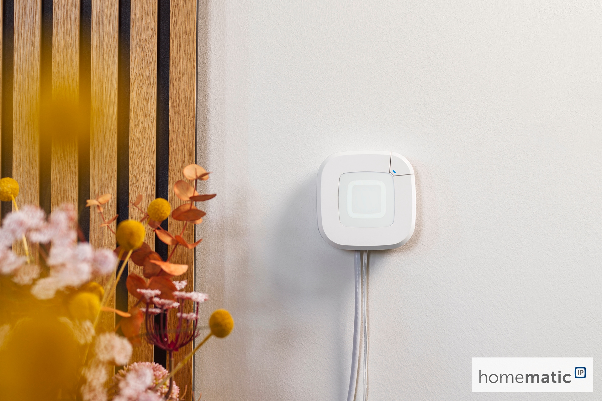 HomeMatic Smart-Home-Station »Access Point 2« AES 128-Verschlüsselung zwischen Geräten, App und Cloud