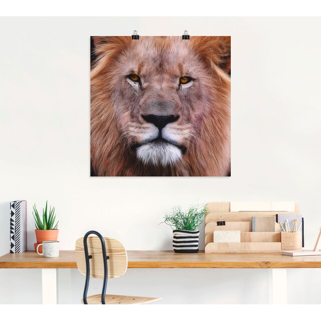 Artland Wandbild »König der Löwen«, Wildtiere, (1 St.), als Leinwandbild,  Wandaufkleber oder Poster in versch. Größen auf Raten bestellen