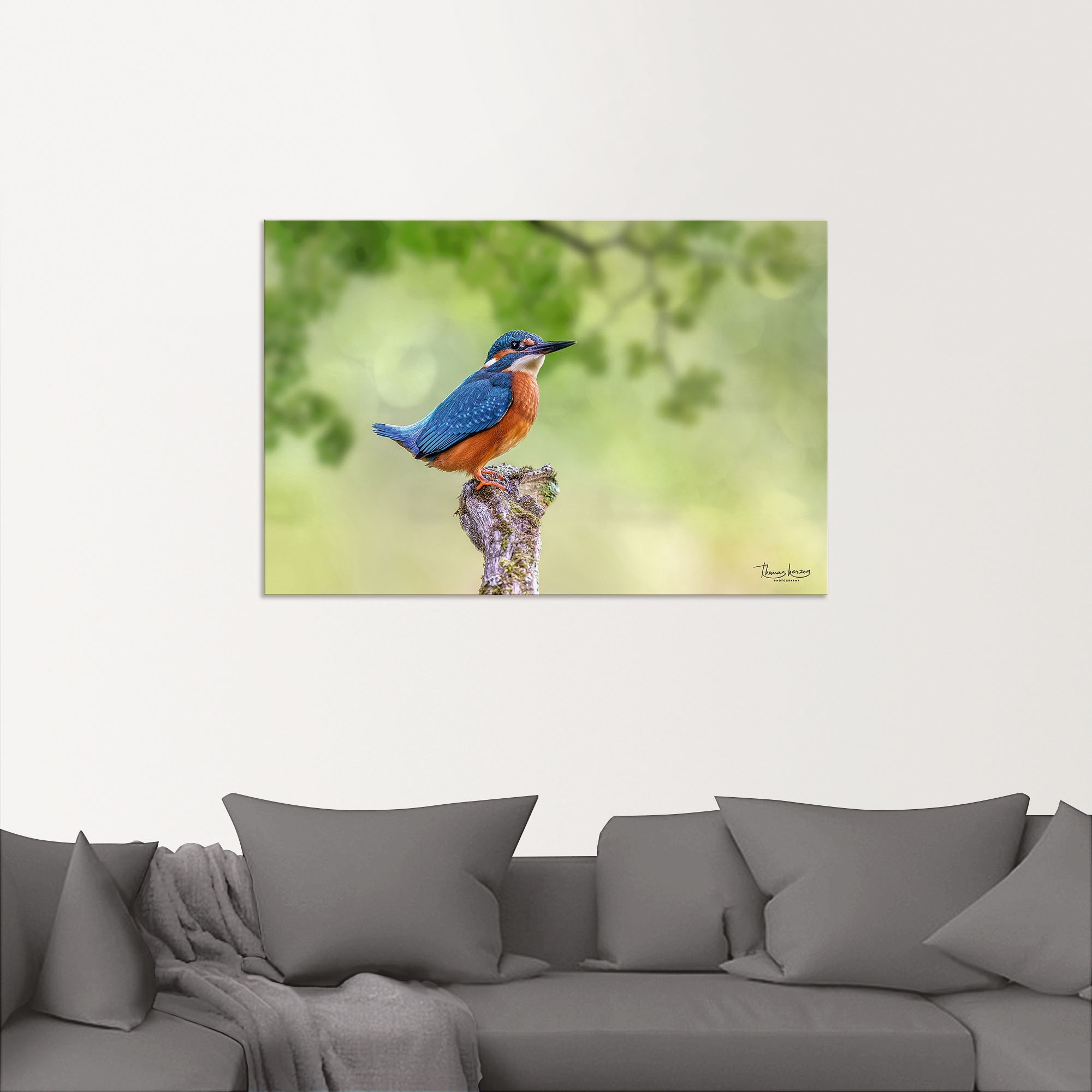 Artland Alu-Dibond-Druck »Eisvogel II« Vogelbilder 1 Stk. tlg. für Innen- und Außenbereich geeignet, Outdoorbild