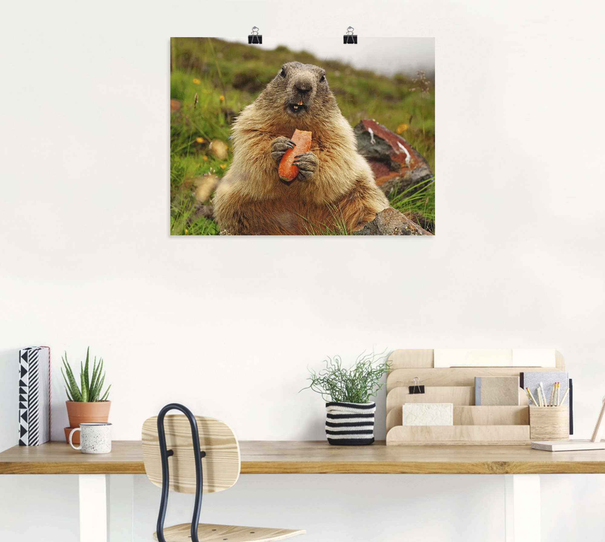 Artland Wandbild »Murmeltier«, Wildtiere, (1 St.), als Leinwandbild, Poster in verschied. Größen