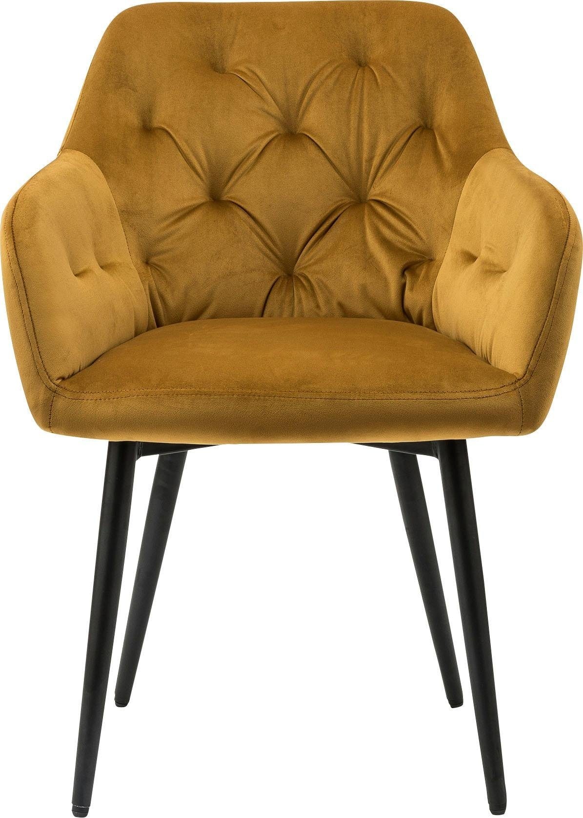 SalesFever Esszimmerstuhl »Coventry Komfortabler Polstertuhl im eleganten Stil«, Samtvelours, Stilvoll mit eleganter Knopfheftung