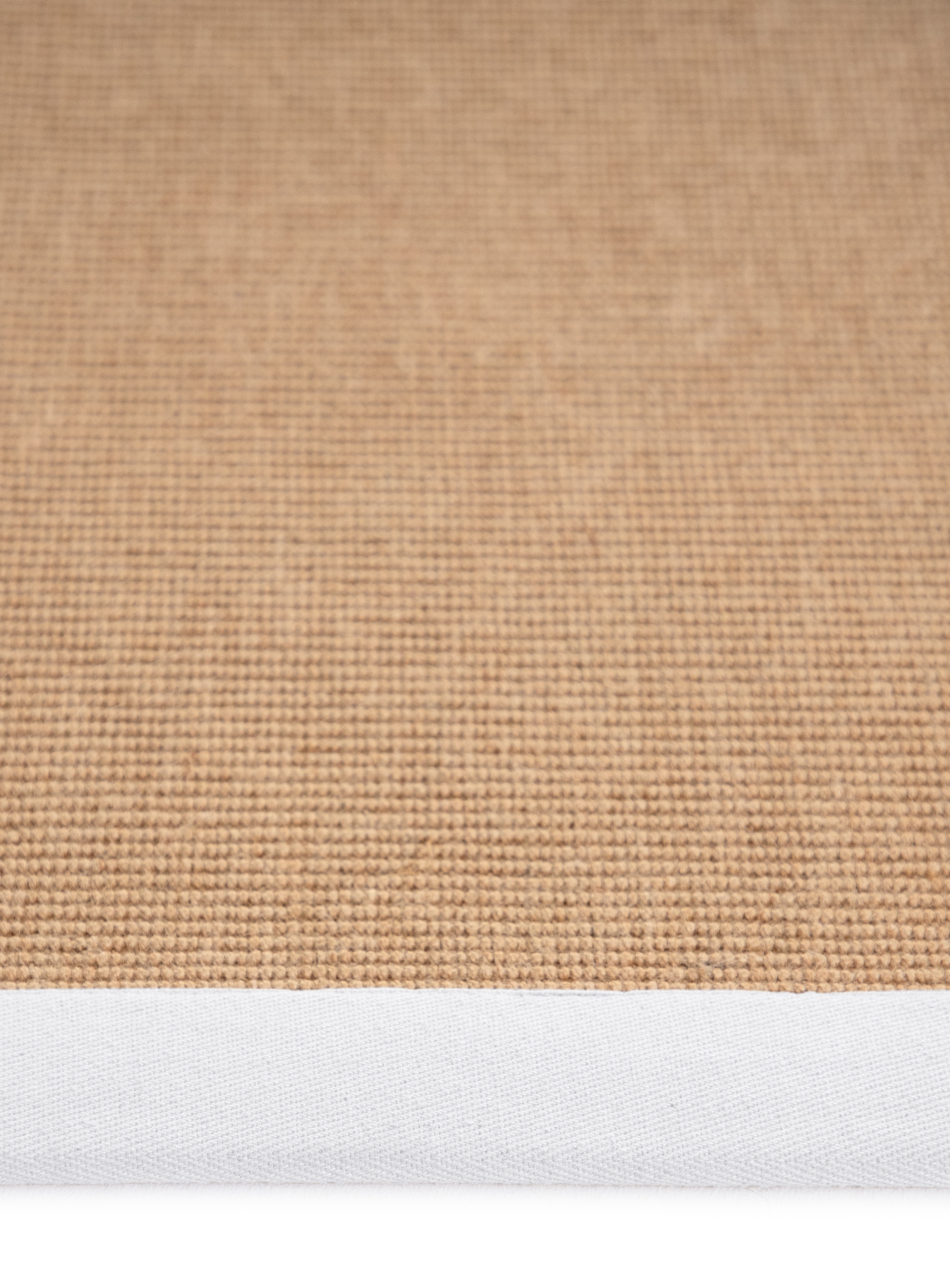 carpetfine Sisalteppich »Sisal«, rechteckig, 5 mm Höhe, mit farbiger Bordüre, Anti Rutsch Rückseite