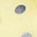 bunt