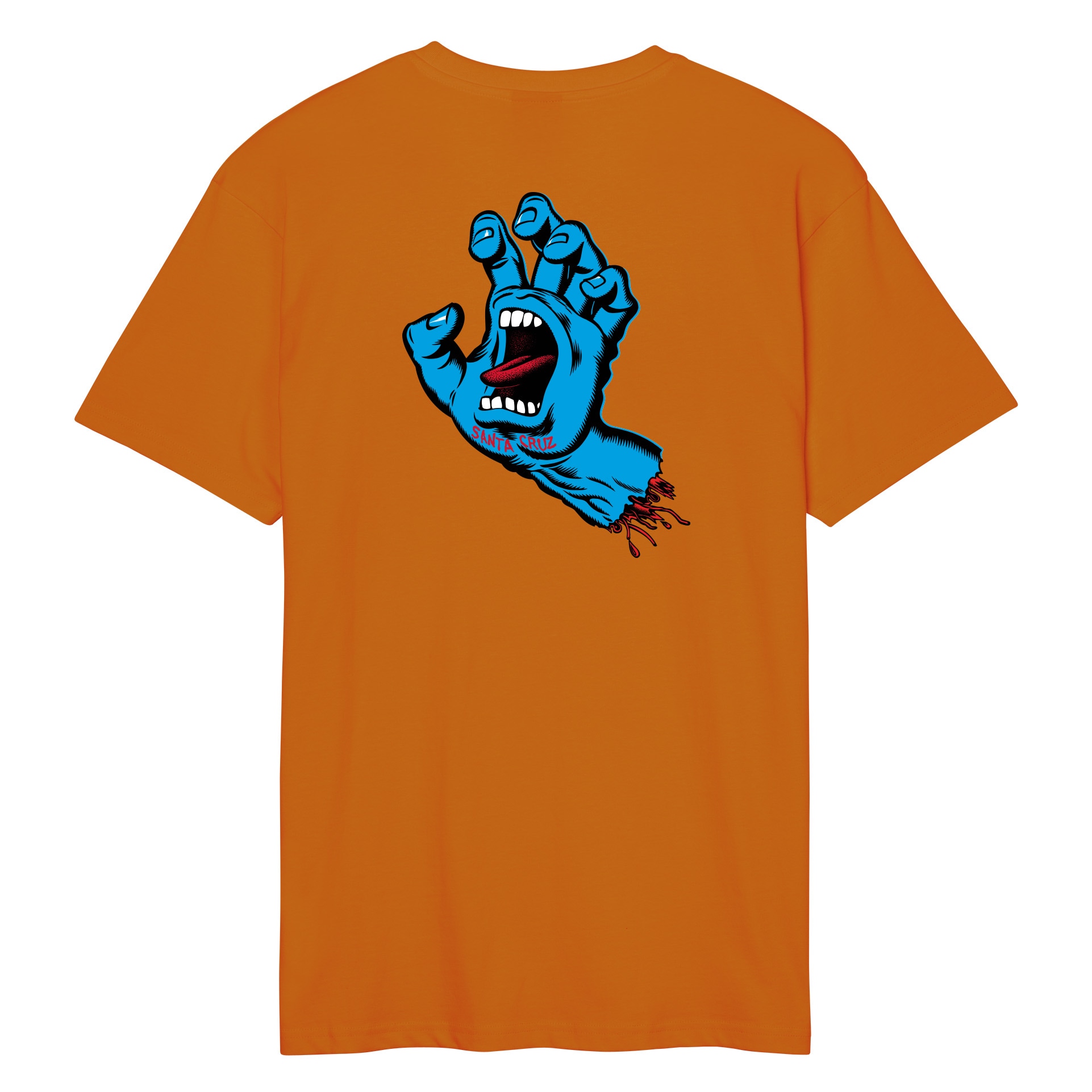 Santa Cruz T-Shirt »WOODLAND MINI STRIP FRONT T-SHIRT«, (1 tlg.)