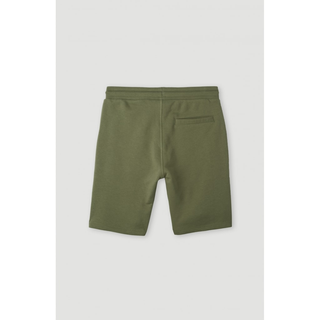 O'Neill Shorts »ALL YEAR JOGGER SHORTS«