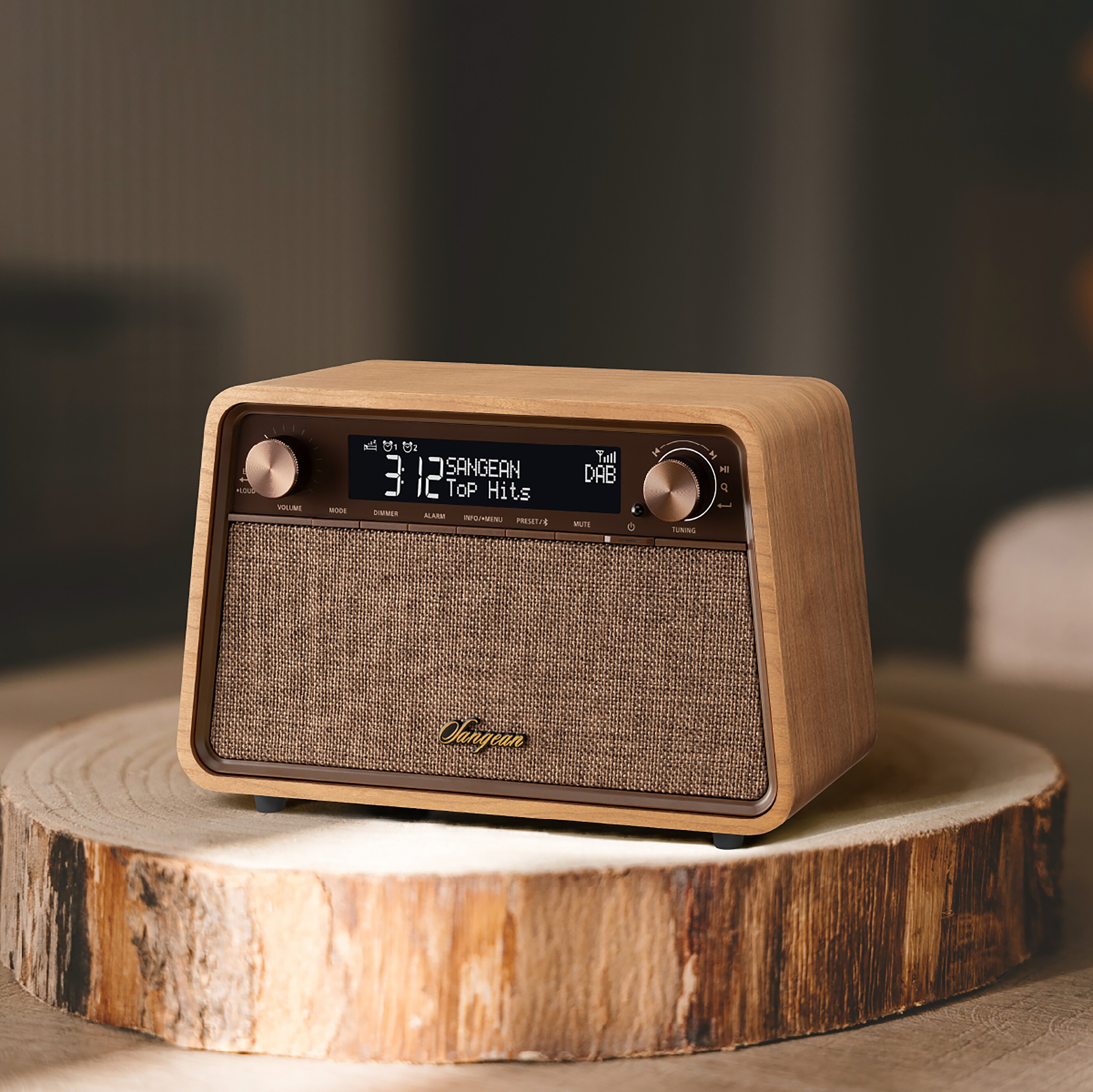 Sangean Retro-Radio »WR-201D«, (A2DP Bluetooth-AVRCP Bluetooth Digitalradio (DAB+)-FM-Tuner mit RDS), DAB+, Bluetooth, USB-C Ladeanschluss, Fernbedienung