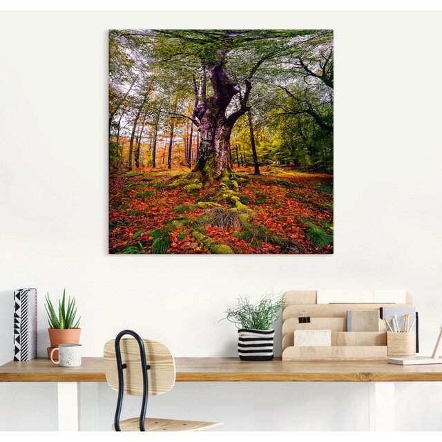 Artland Wandbild »Baum im Wald«, Baumbilder, (1 St.), als Alubild,  Leinwandbild, Wandaufkleber oder Poster in versch. Größen auf Rechnung  bestellen