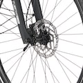 FISCHER Fahrrad E-Bike »VIATOR 5.0i Damen 504«, 10 Gang, (mit Akku-Ladegerät-mit Werkzeug)