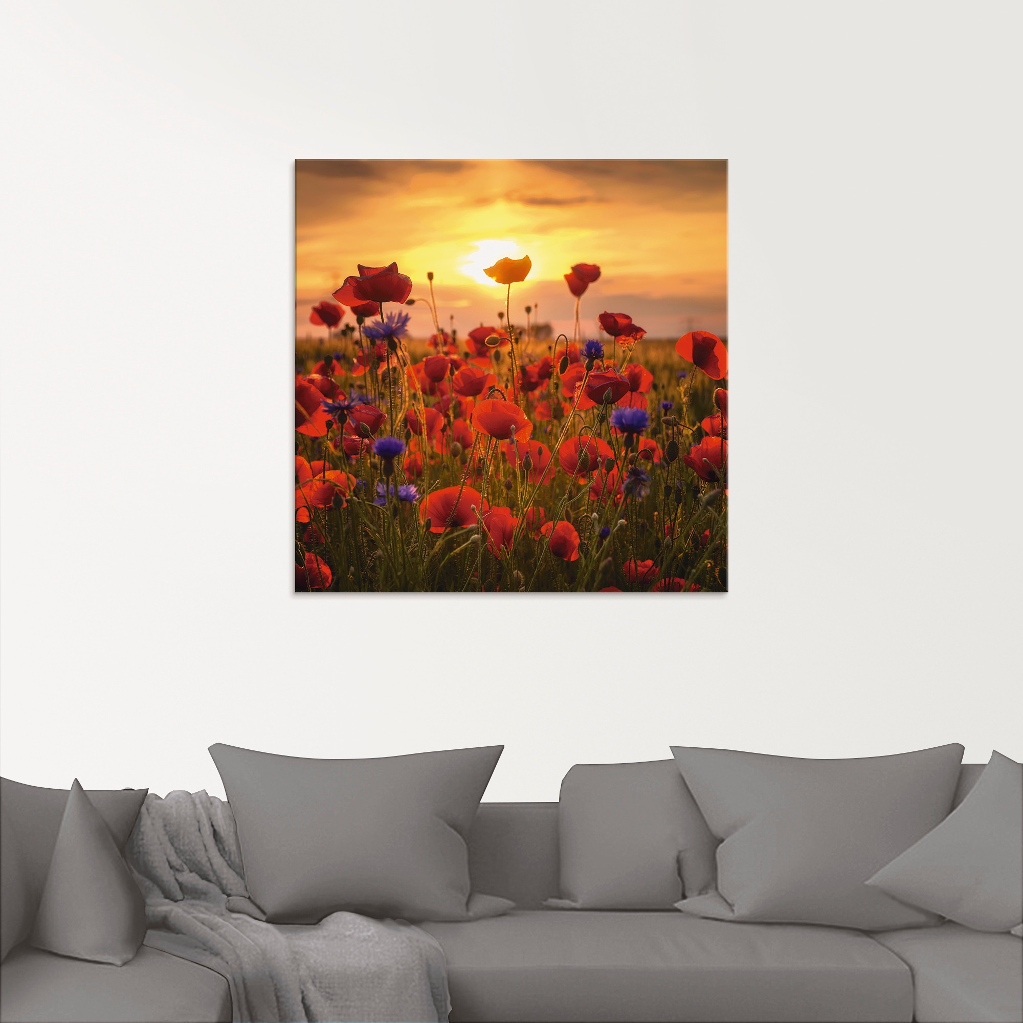 Artland Glasbild »Mohnblumen im Abendlicht«, Blumen, (1 St.), in  verschiedenen Größen auf Raten bestellen