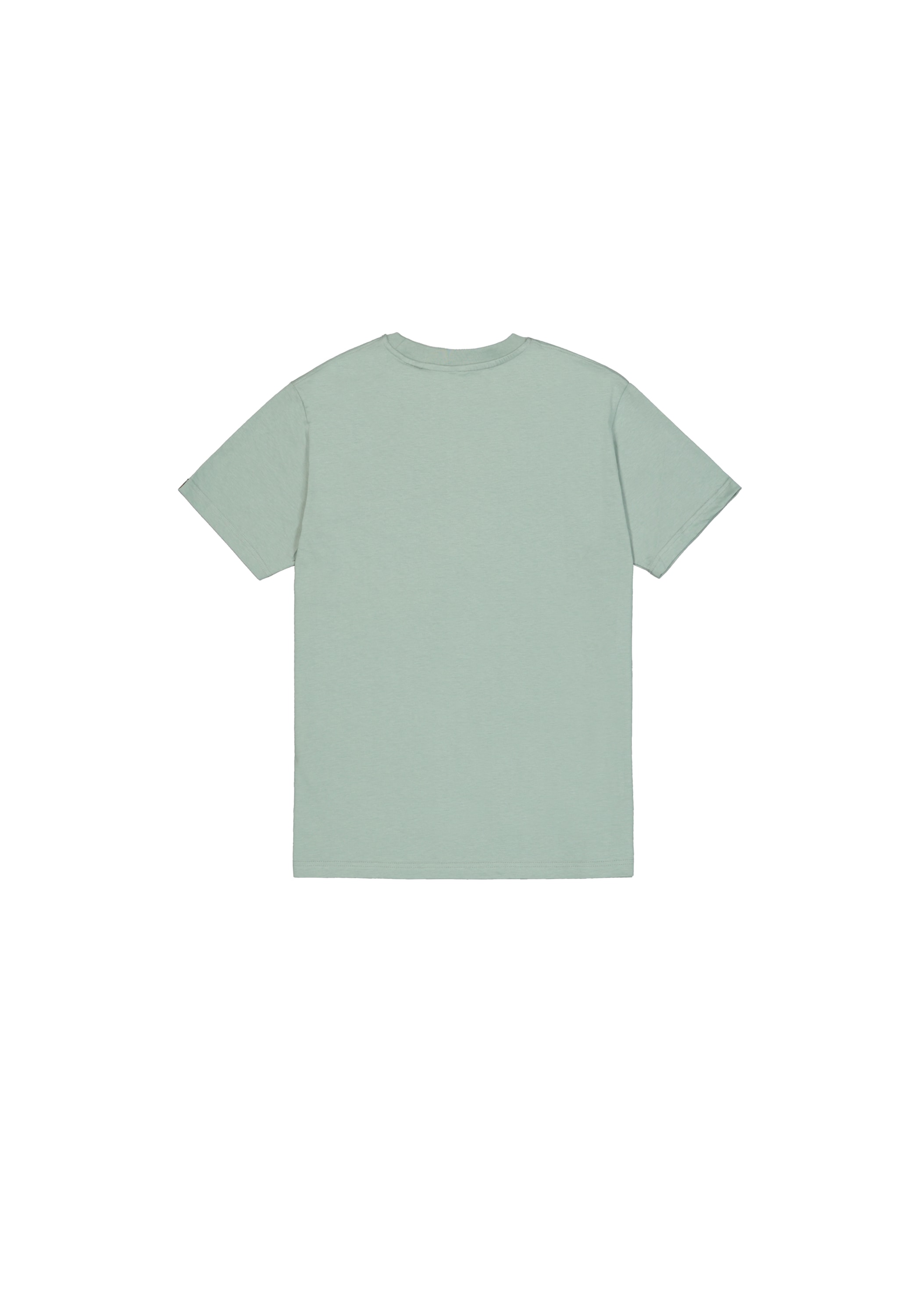 Alpha Industries T-Shirt »Foam ML T-Shirt«