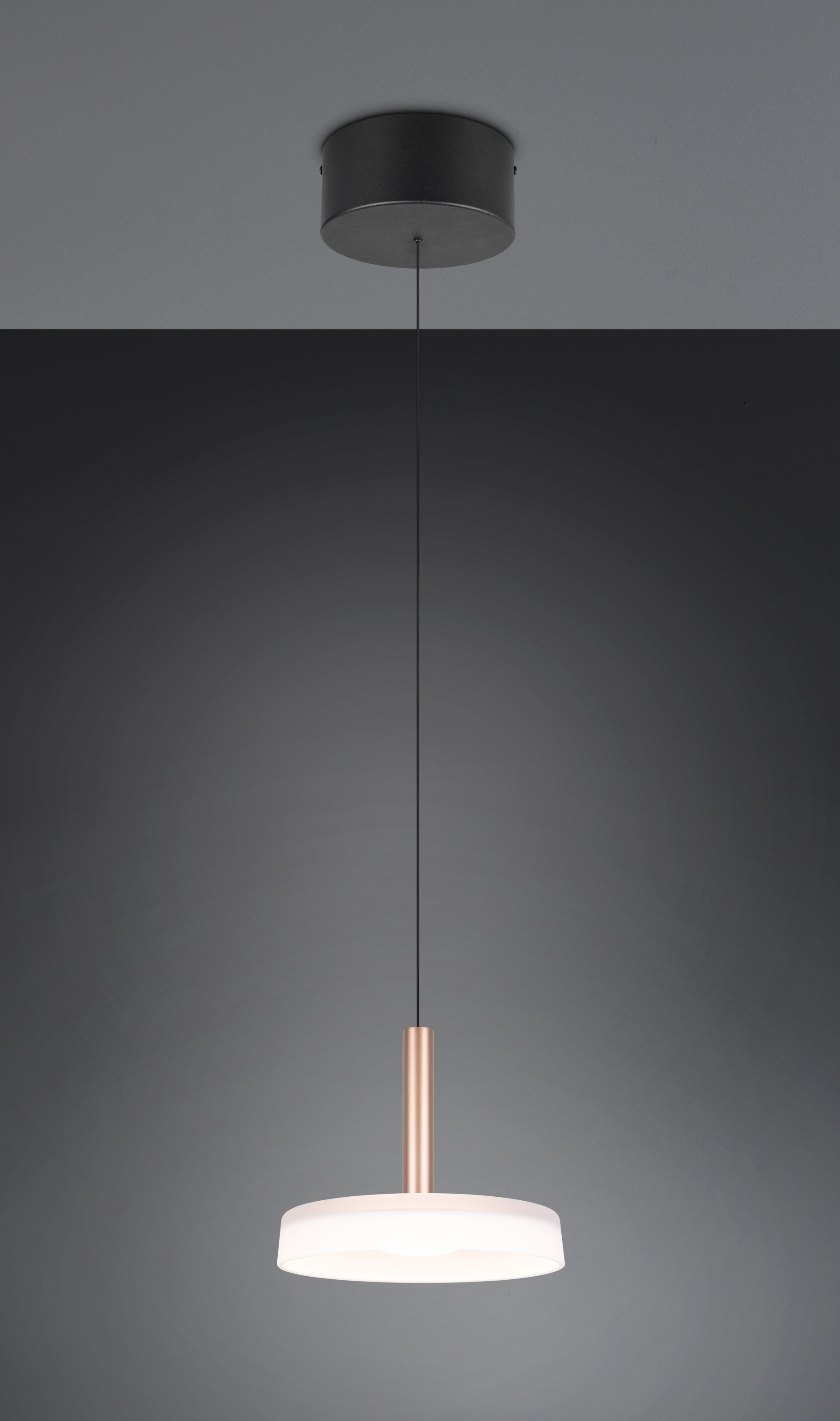 TRIO Leuchten LED Pendelleuchte »CELESTE dimmbare LED Hängelampe aus Metall und Glas, 10W 1100 Lumen« LED-Board 1 Stk. Warmweiß einfach höhenverstellbar von 50-200 cm, Ø 22cm, 3-Stufen Dimmfunktion