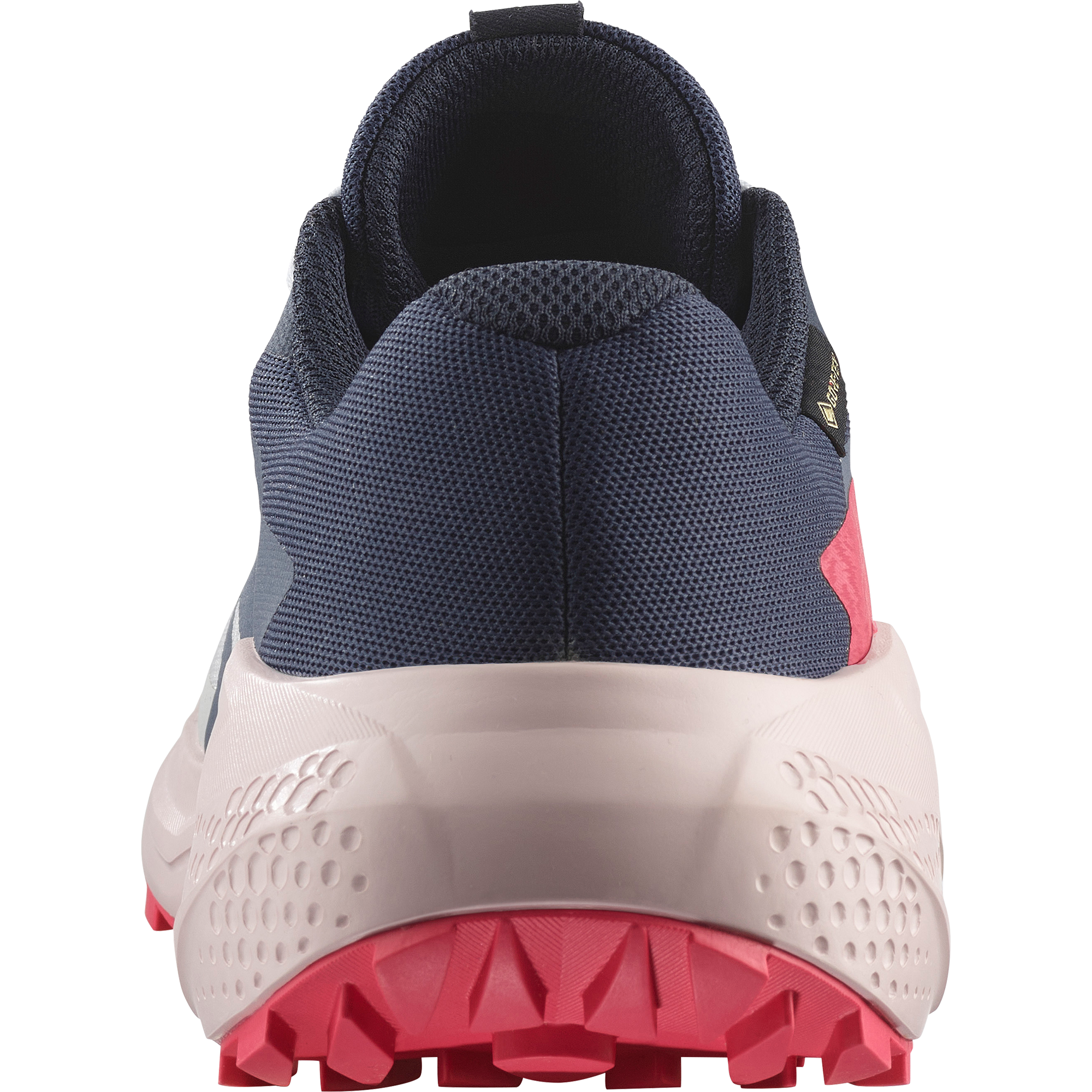 Salomon Trailrunningschuh »ALPHAGLIDE GORE-TEX W«, wasserdicht