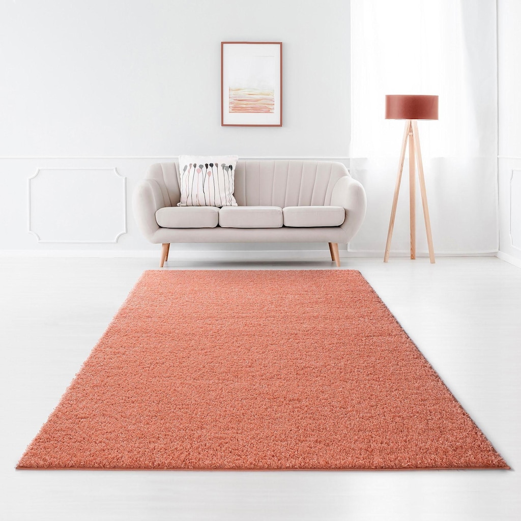 Bruno Banani Hochflor-Teppich »Shaggy Soft«, rechteckig