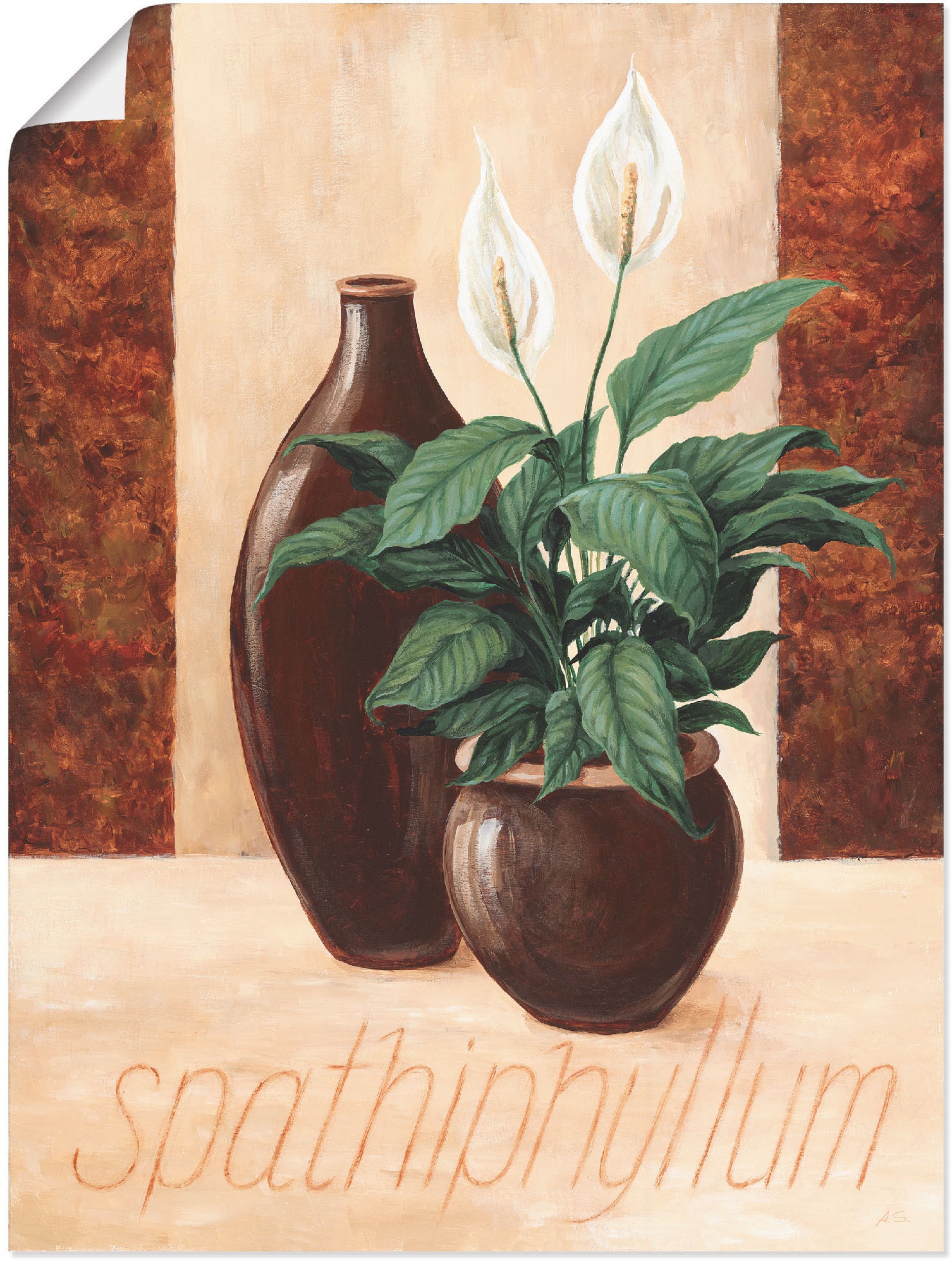 Poster »Spathiphyllum - Einblatt«, Pflanzenbilder, (1 St.), als Alubild, Leinwandbild,...