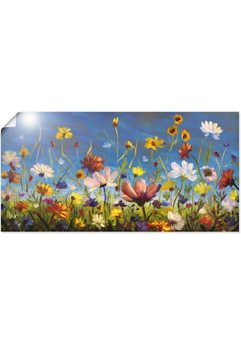 Artland Wandbild »Wildblumenwiese blauer Himmel«, Blumenwiese, (1 St.), als Alubild,... kaufen