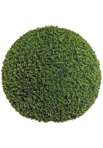 Creativ green Kunstpflanze »Buchsbaumkugel«, (1 St.) kaufen