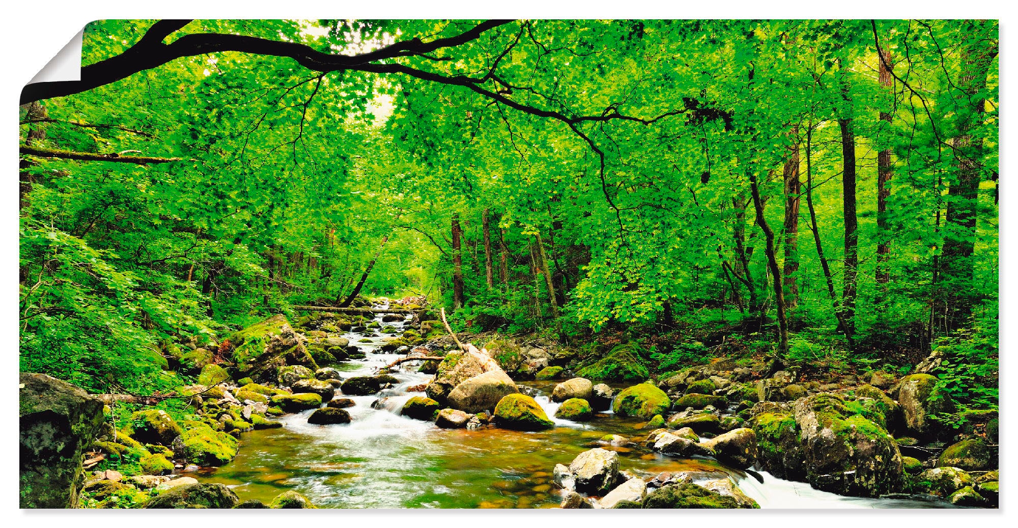 St.), oder Wandaufkleber Rechnung (1 in als auf Größen Poster Alubild, »Herbstwald Fluss Wald, versch. Wandbild Artland Leinwandbild, Smolny«, bestellen