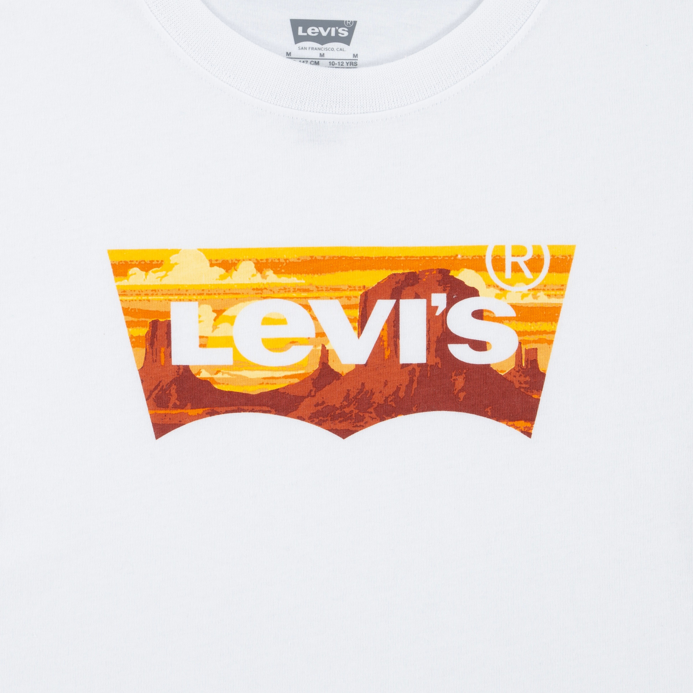 Levi's® Kids T-Shirt »LVB GOLDEN GLOW BATWING TEE« mit großem Logo