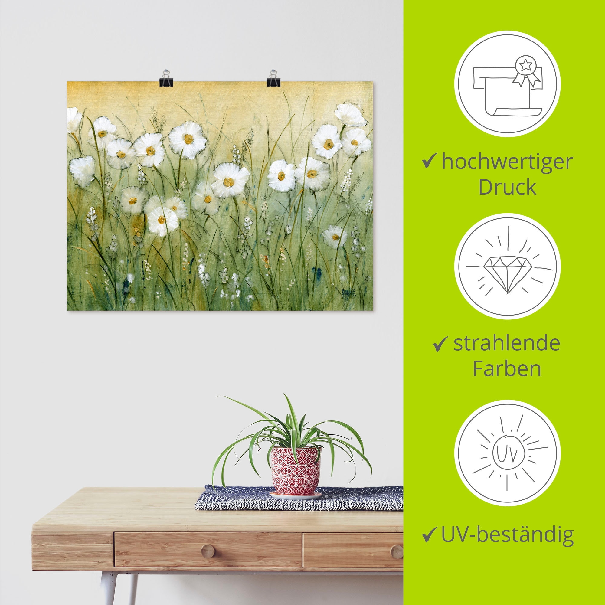 Artland Wandbild »Gänseblümchenfrühling II« Blumen 1 Stk. tlg. als Alubild, Leinwandbild, Poster in verschied. Größen