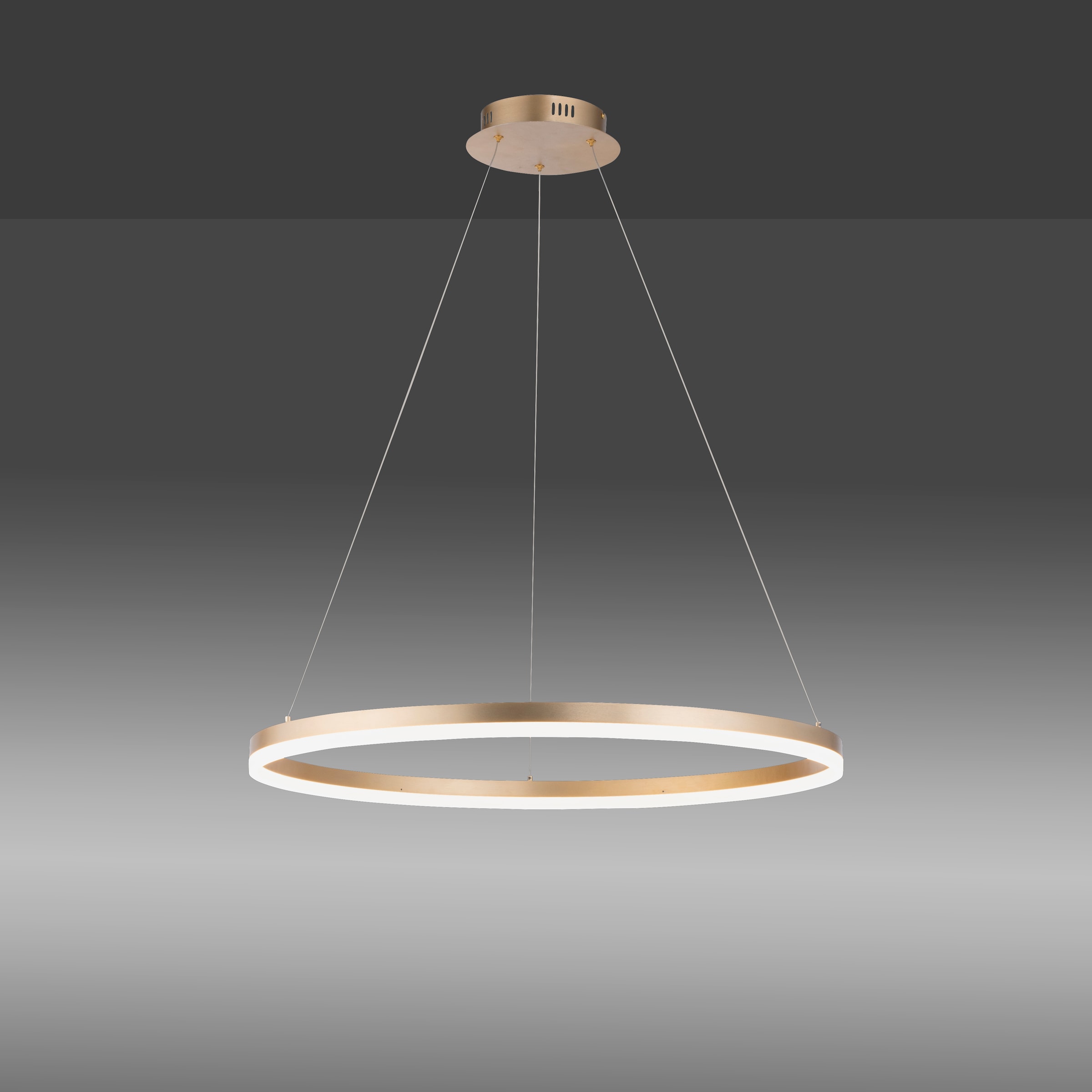 Paul Neuhaus Pendelleuchte »TITUS«, 1 flammig, Leuchtmittel LED-Board | LED fest integriert, LED, dimmbar, Simply Dim, Memory, nach Trennung vom Netz