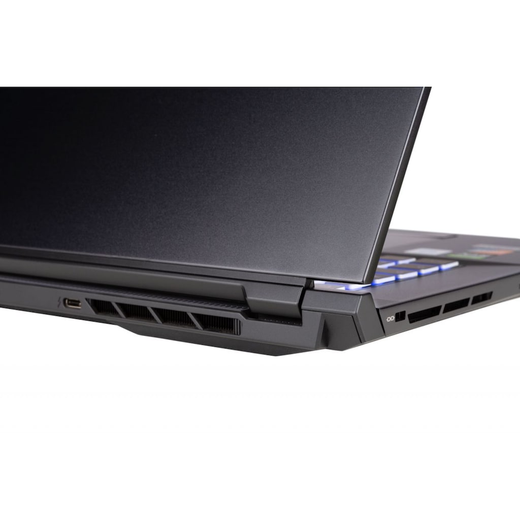 CAPTIVA Gaming-Notebook »Highend Gaming I60-987«, 43,9 cm, / 17,3 Zoll, Intel, Core i7, GeForce RTX 3080, 1000 GB SSD