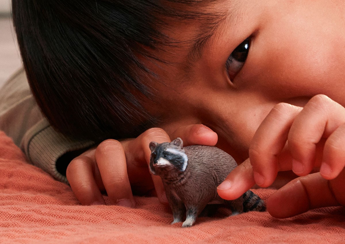 Schleich® Spielfigur »WILD LIFE, Waschbär (14937)«