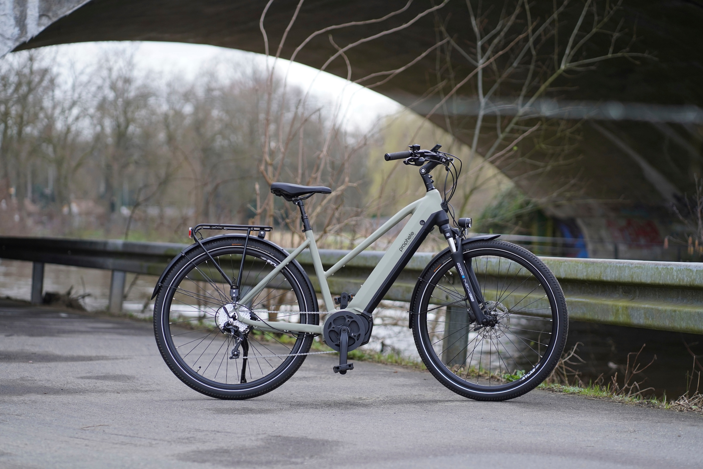 Prophete E-Bike »Entdecker 4.0«, 10 Gang, microSHIFT, RD-M61S, Mittelmotor 250 W, Pedelec, Elektrofahrrad für Damen, Trekkingrad