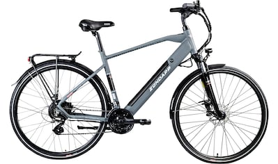 E-Bike »Z810«, 24 Gang, Shimano, Altus RD-M310, Heckmotor 250 W