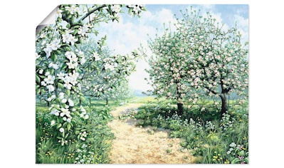 Artland Wandbild »Ausblick in den Frühling«, Felder, (1 St.), als  Leinwandbild, Wandaufkleber oder Poster in versch. Größen bequem bestellen