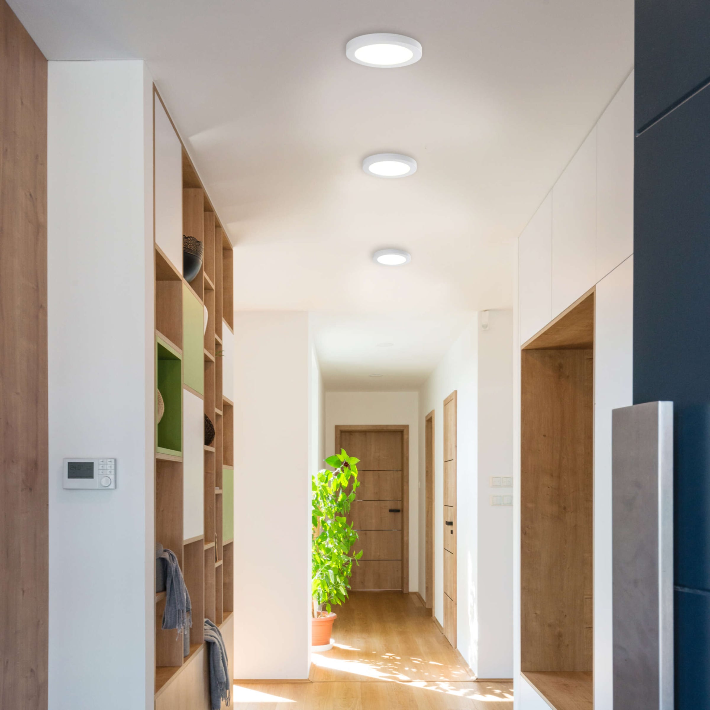 näve LED Deckenleuchte »Bonus« LED-Modul 1 Stk. warmweiß - kaltweiß rund, D: 17cm, weiß, CCT per Gerätschalter, flexible Installation