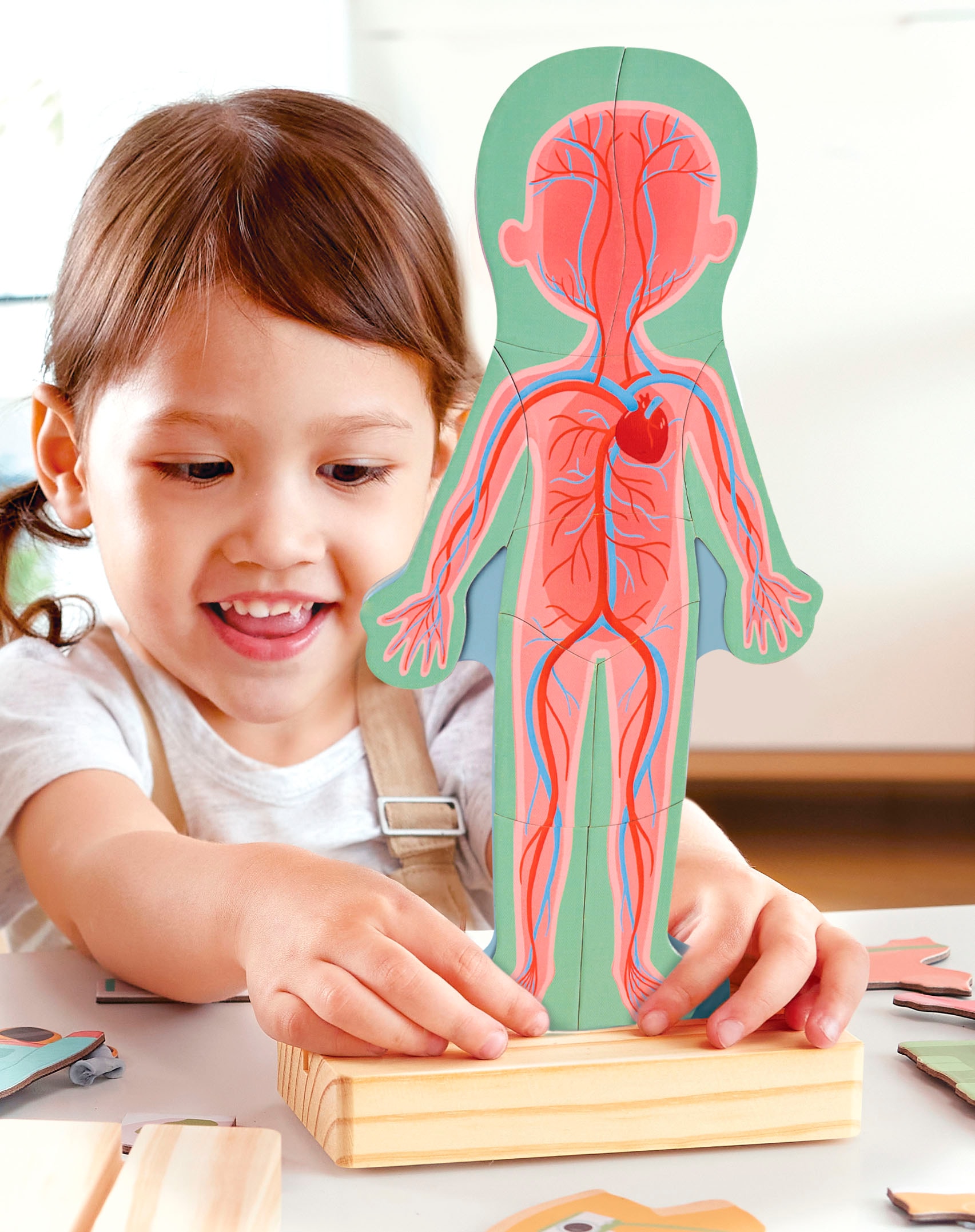 Hape Konturenpuzzle »Menschlicher Körper«