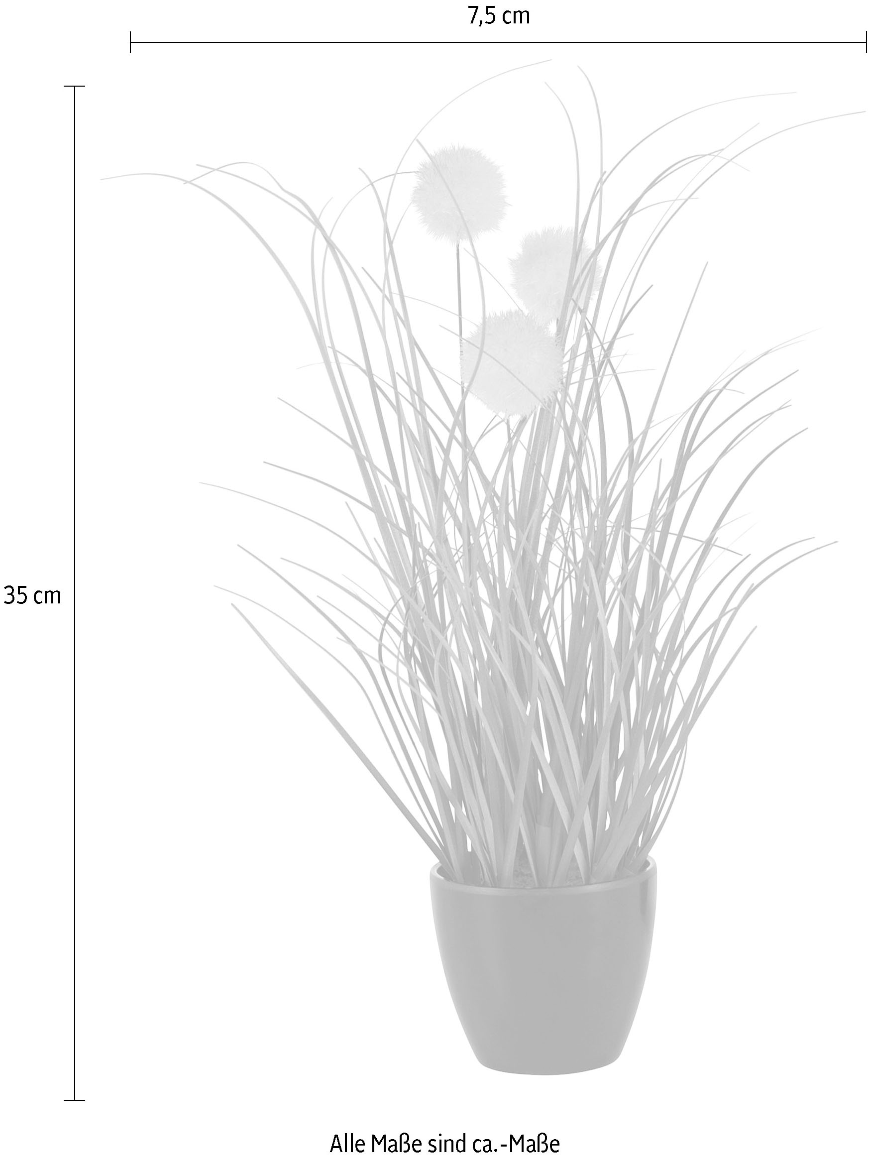 Leonique Kunstgras »Grasbusch mit Kletten«, Kunstpflanze, Gras, im Topf, 3er-Set, Bestseller