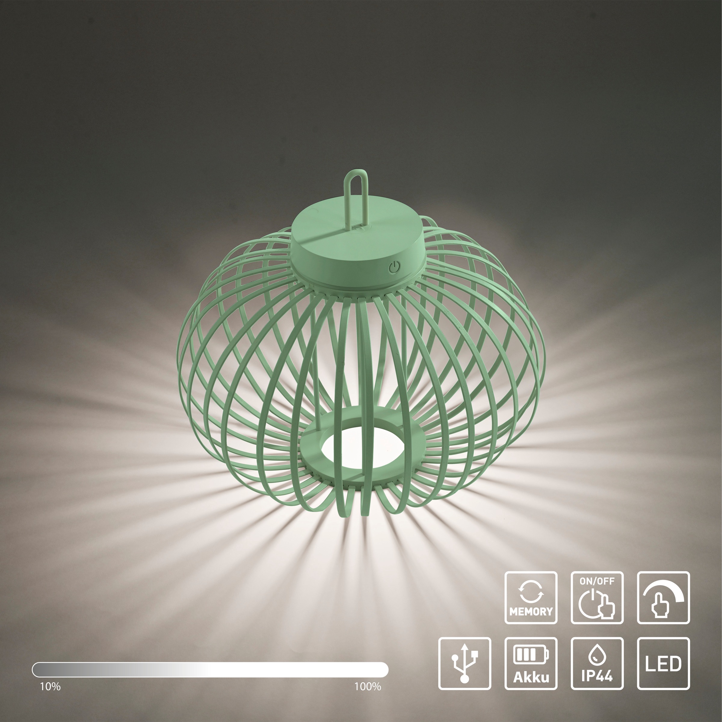 JUST LIGHT Pendelleuchte »AKUBA«, 1 flammig, Leuchtmittel LED-Modul | LED fest integriert, Akkuleuchte