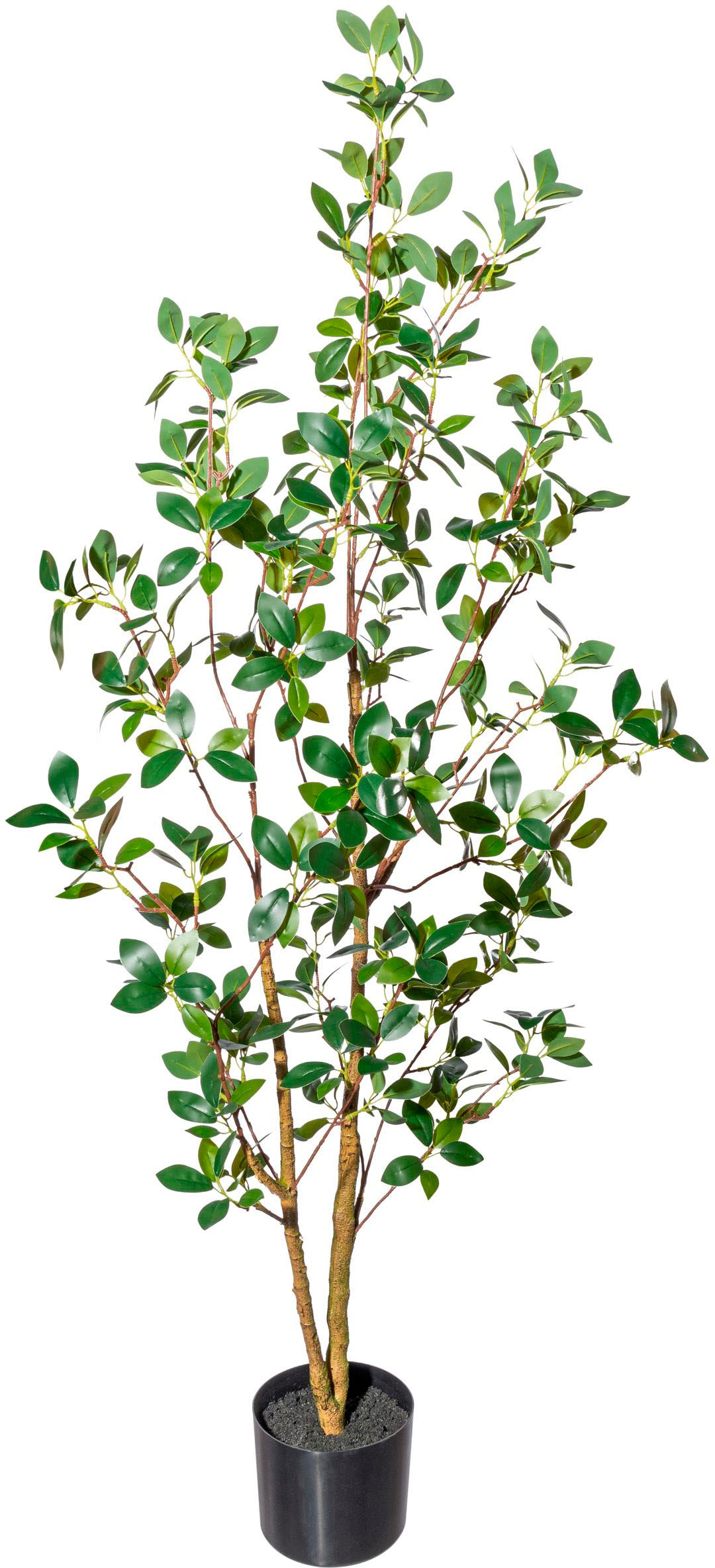 Creativ green Kunstbaum »Ficus ginseng«