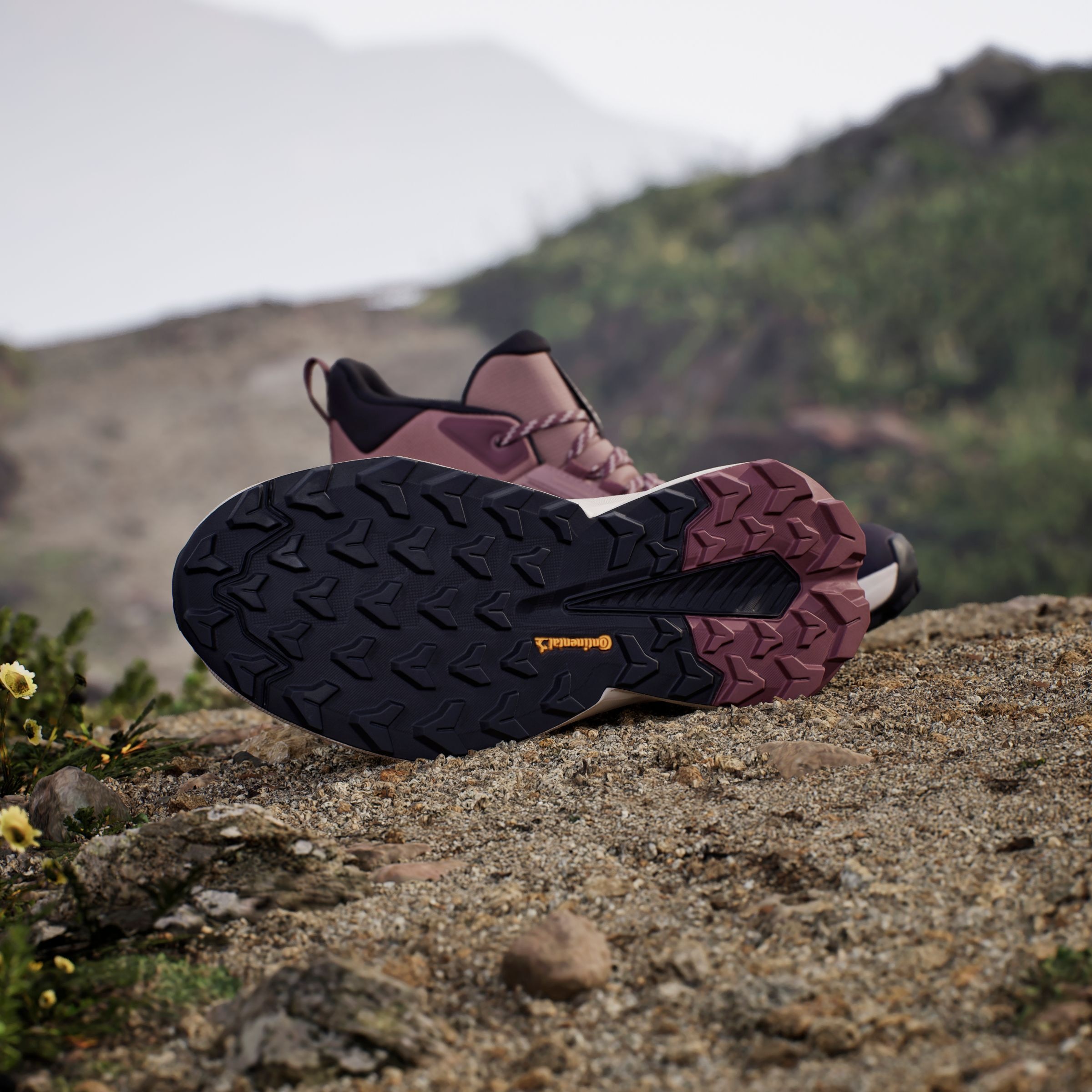 adidas TERREX Wanderschuh »TERREX TRAILMAKER 2.0 MID GORE-TEX«, wasserdicht