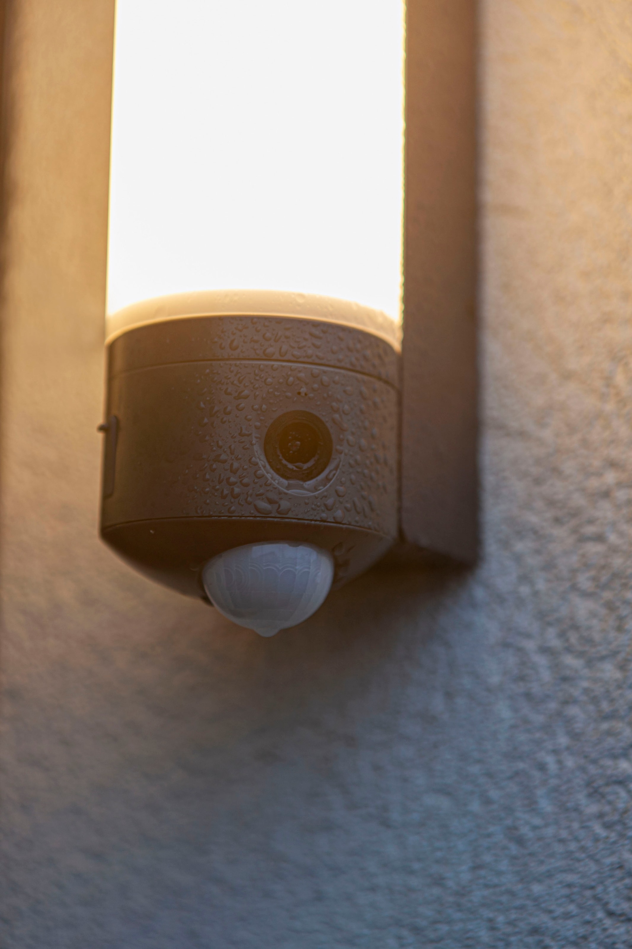 kaufen 3 Smart-Home online Jahren LED-Leuchte mit »POLLUX«, Kameraleuchte Smarte XXL LUTEC Garantie |