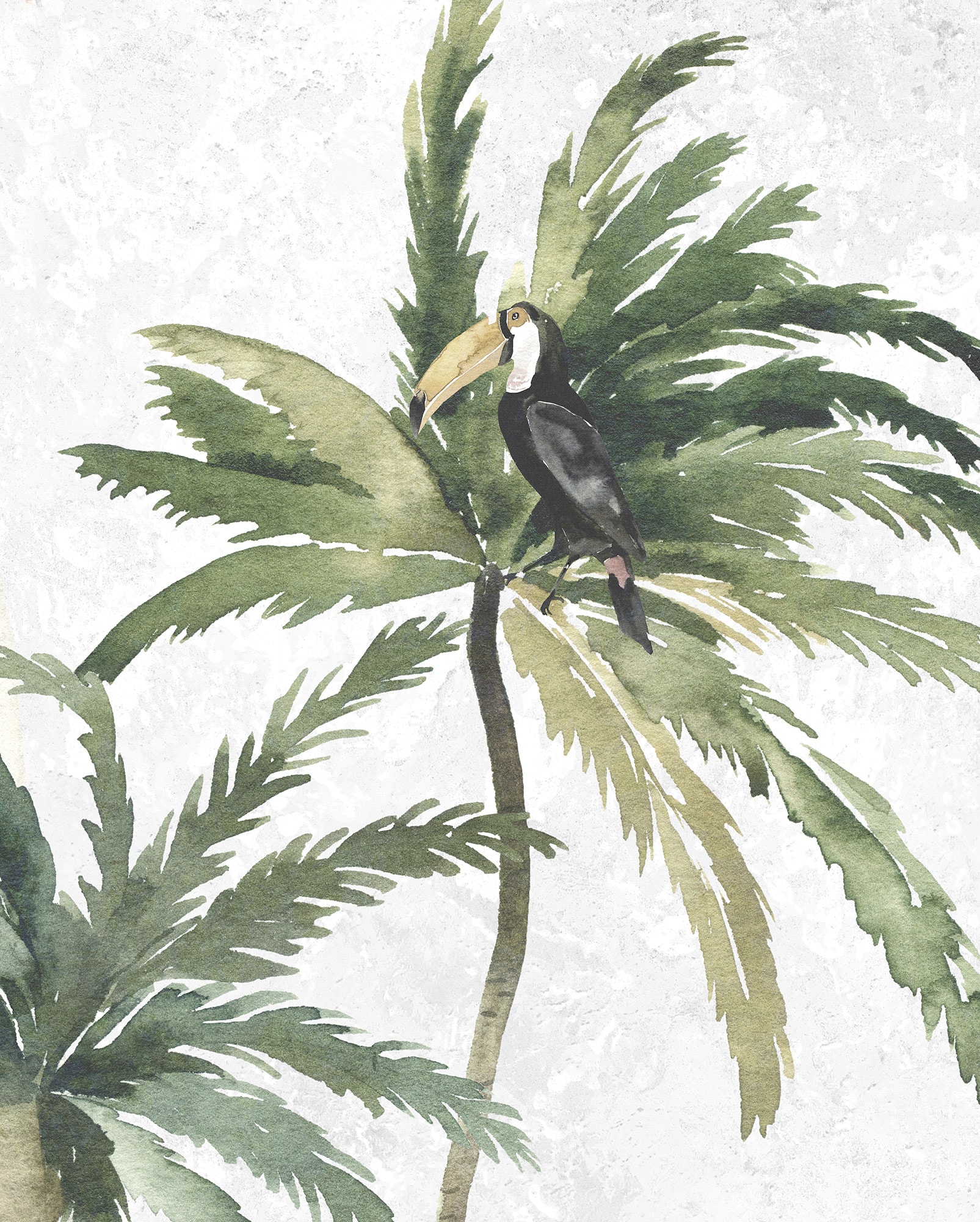 Komar Poster »Tropical Toucan«, kaufen XXL online | Jahren Wohnzimmer 3 (1 St.), mit Garantie Kinderzimmer, Schlafzimmer