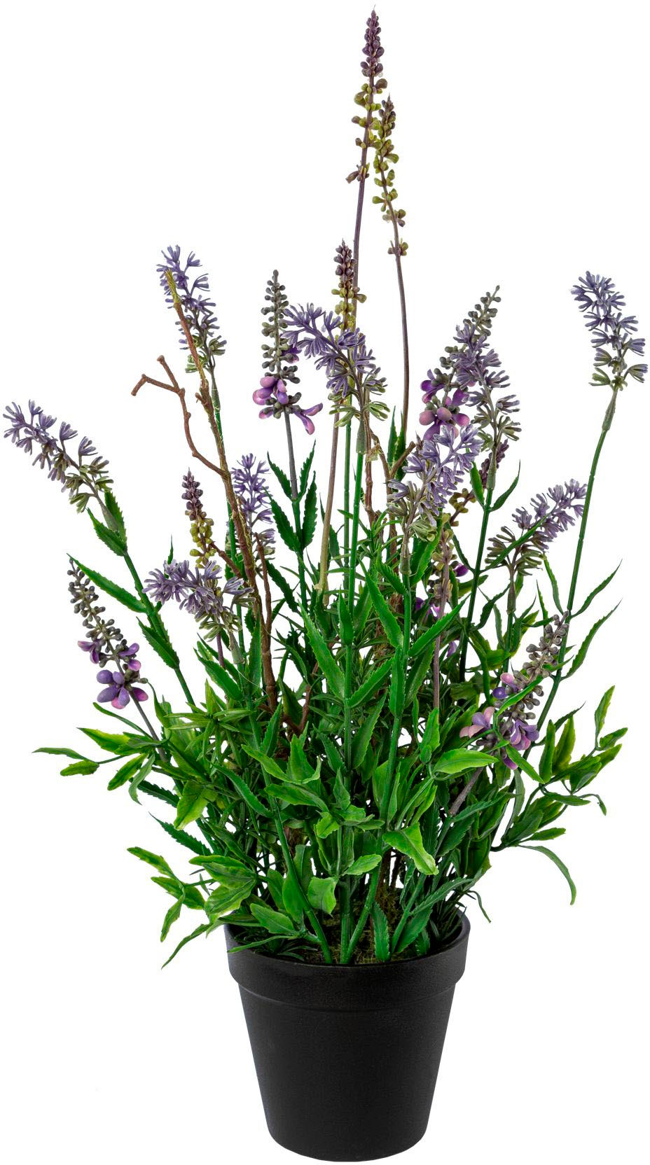 »Lavendel Kunstblume Creativ auf Topf« im Raten green bestellen