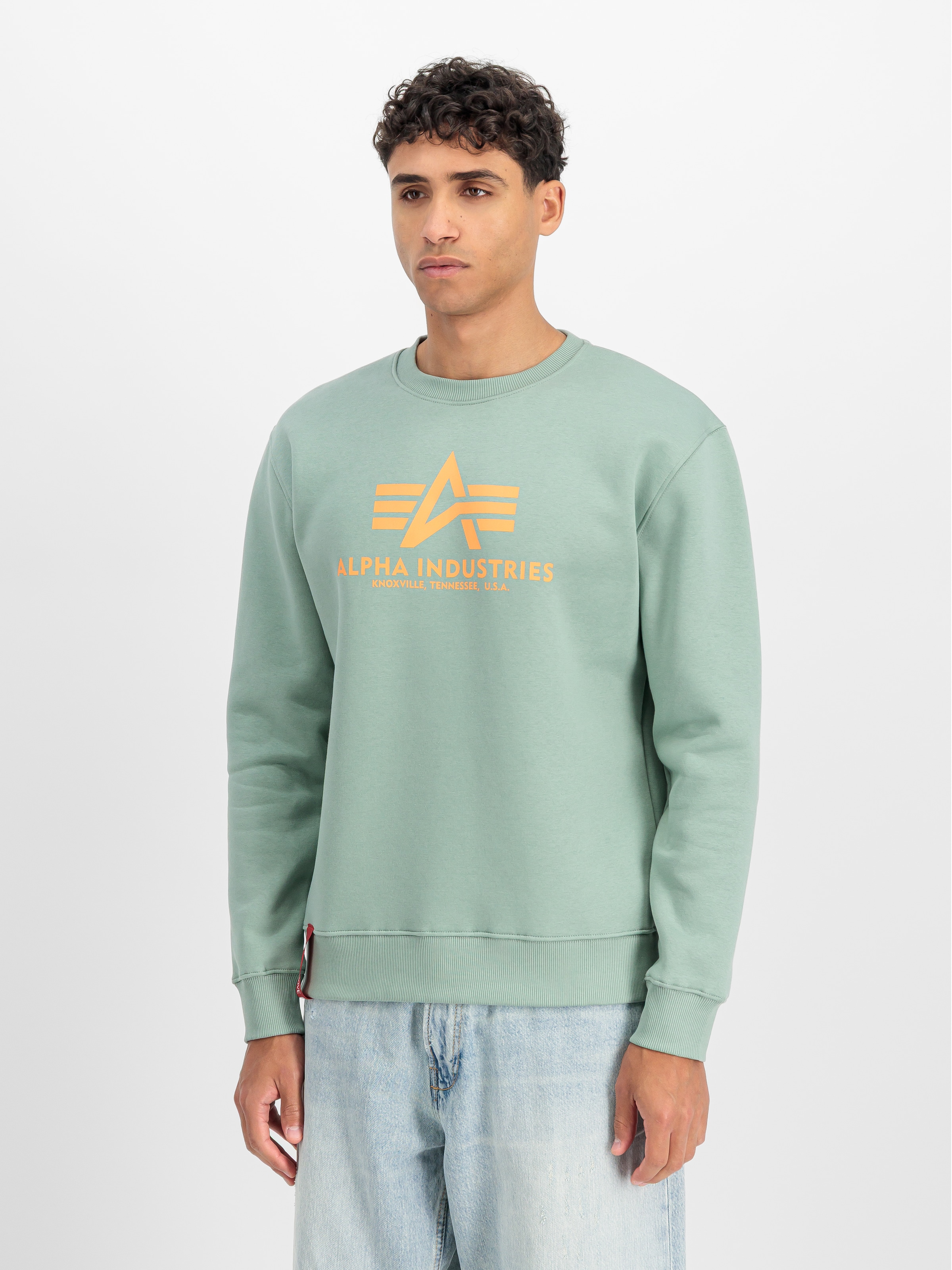 Alpha Industries Sweatshirt »Basic Sweater«, Baumwollmischung, regular fit
