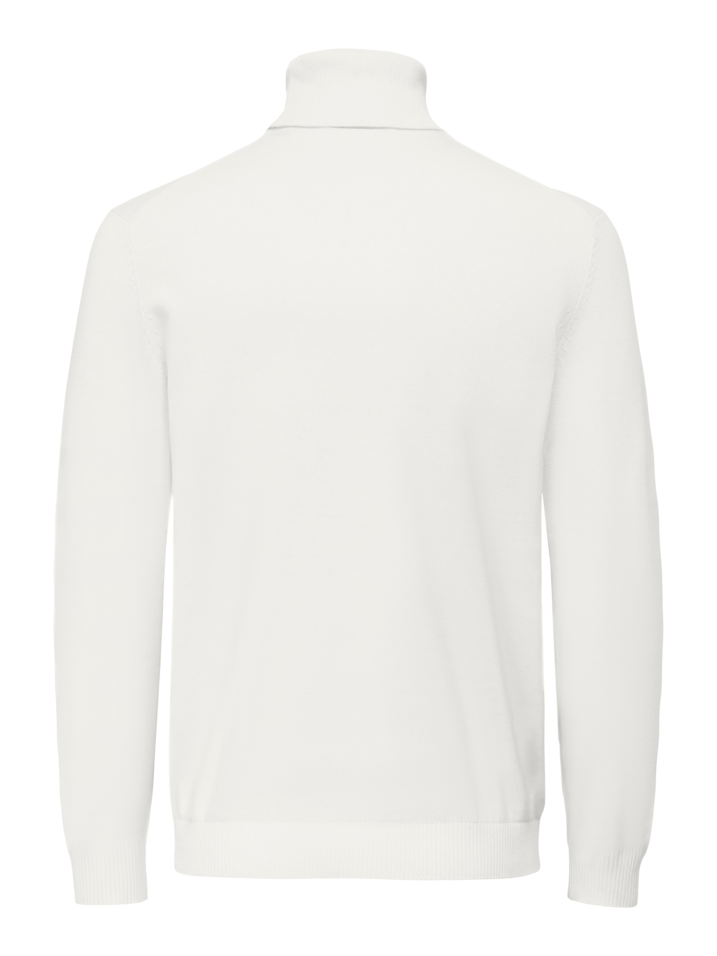 ONLY & SONS Rollkragenpullover »ONSHOLGER REG ROLL NECK KNIT - OTL«