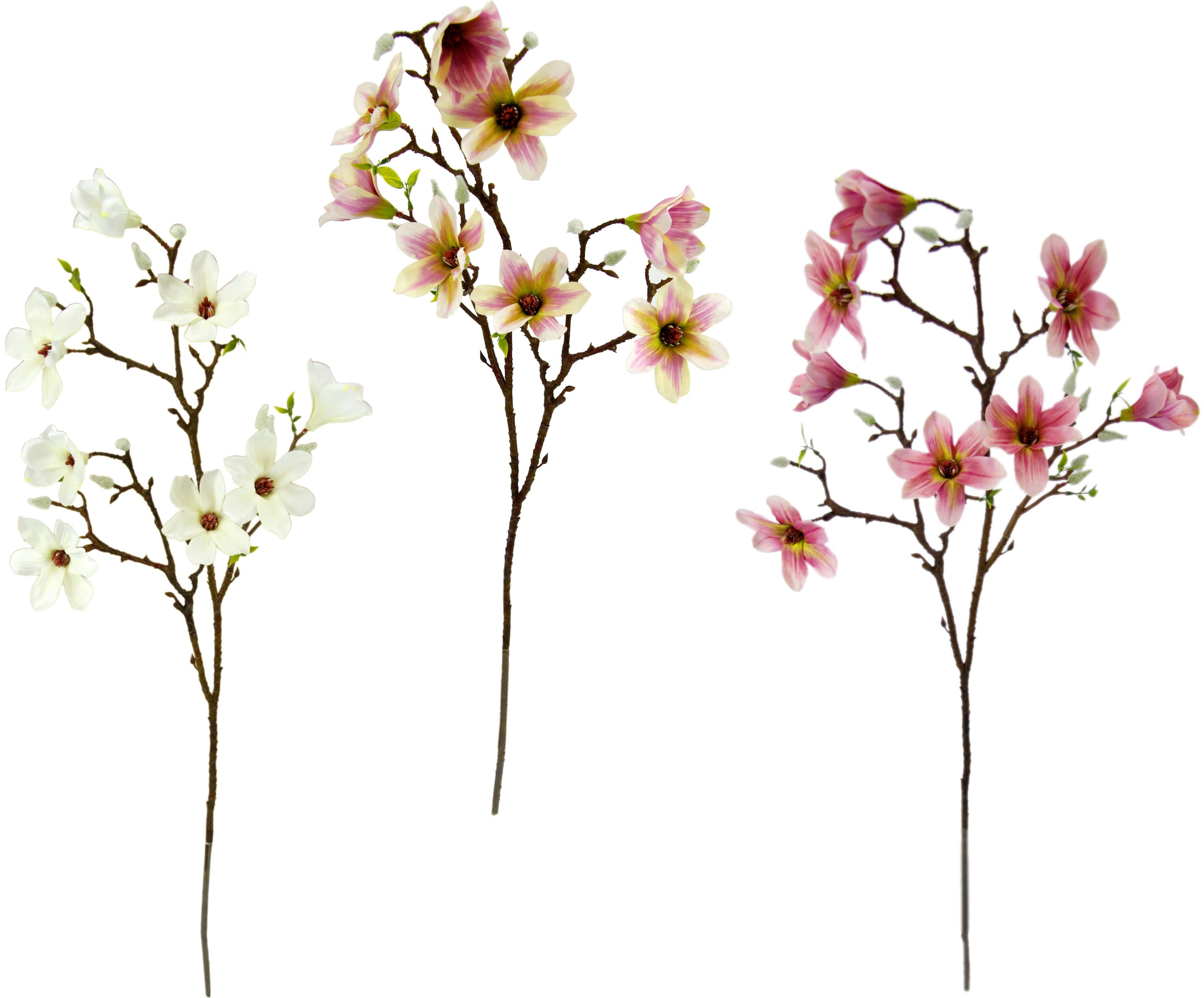 I.GE.A. Kunstblume »Magnolienzweig«, 3er Set auf Rechnung kaufen