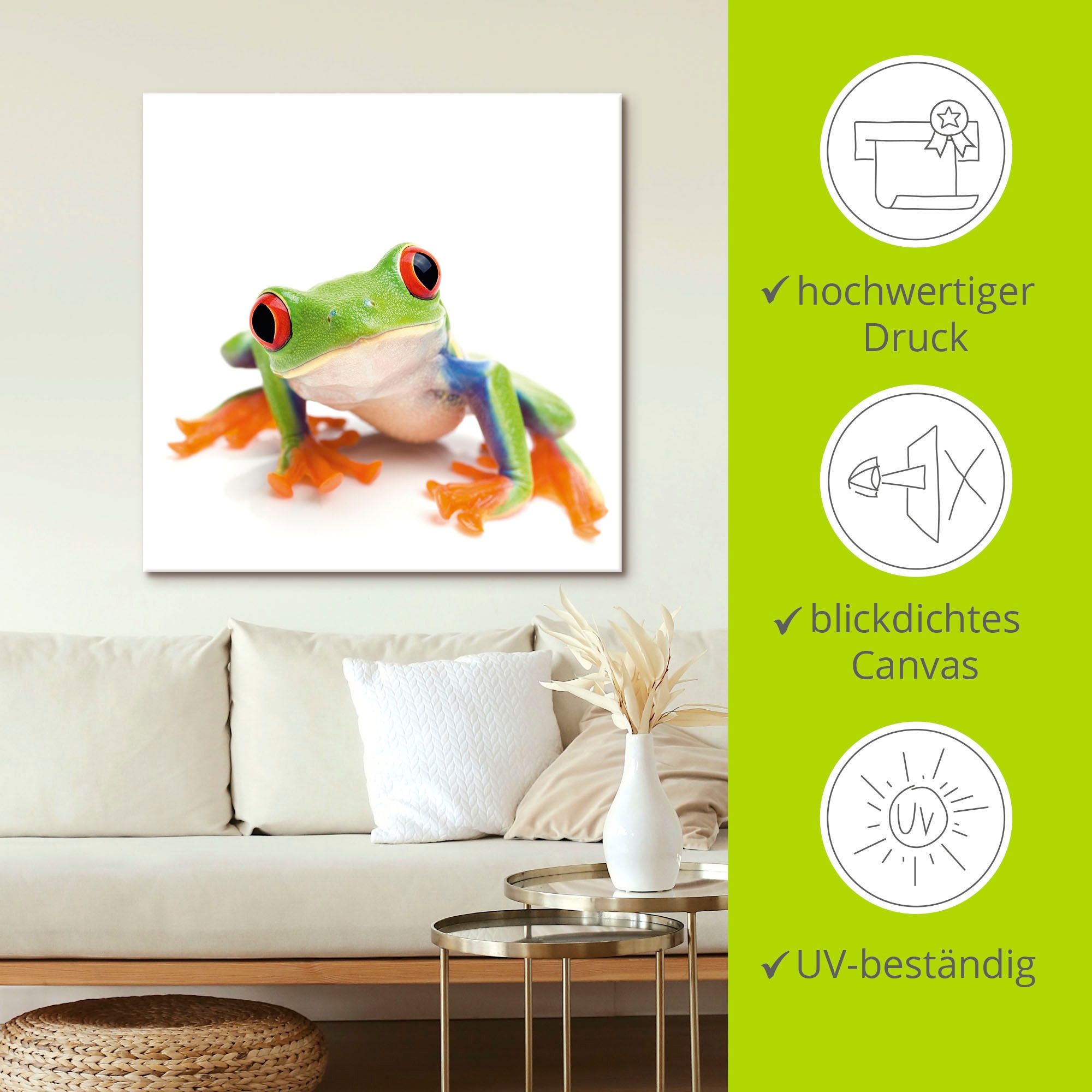 Artland Leinwandbild »Großaufnahme eines Frosches vor weiß« Wassertiere 1 Stk. tlg. auf Holzrahmen gespannt