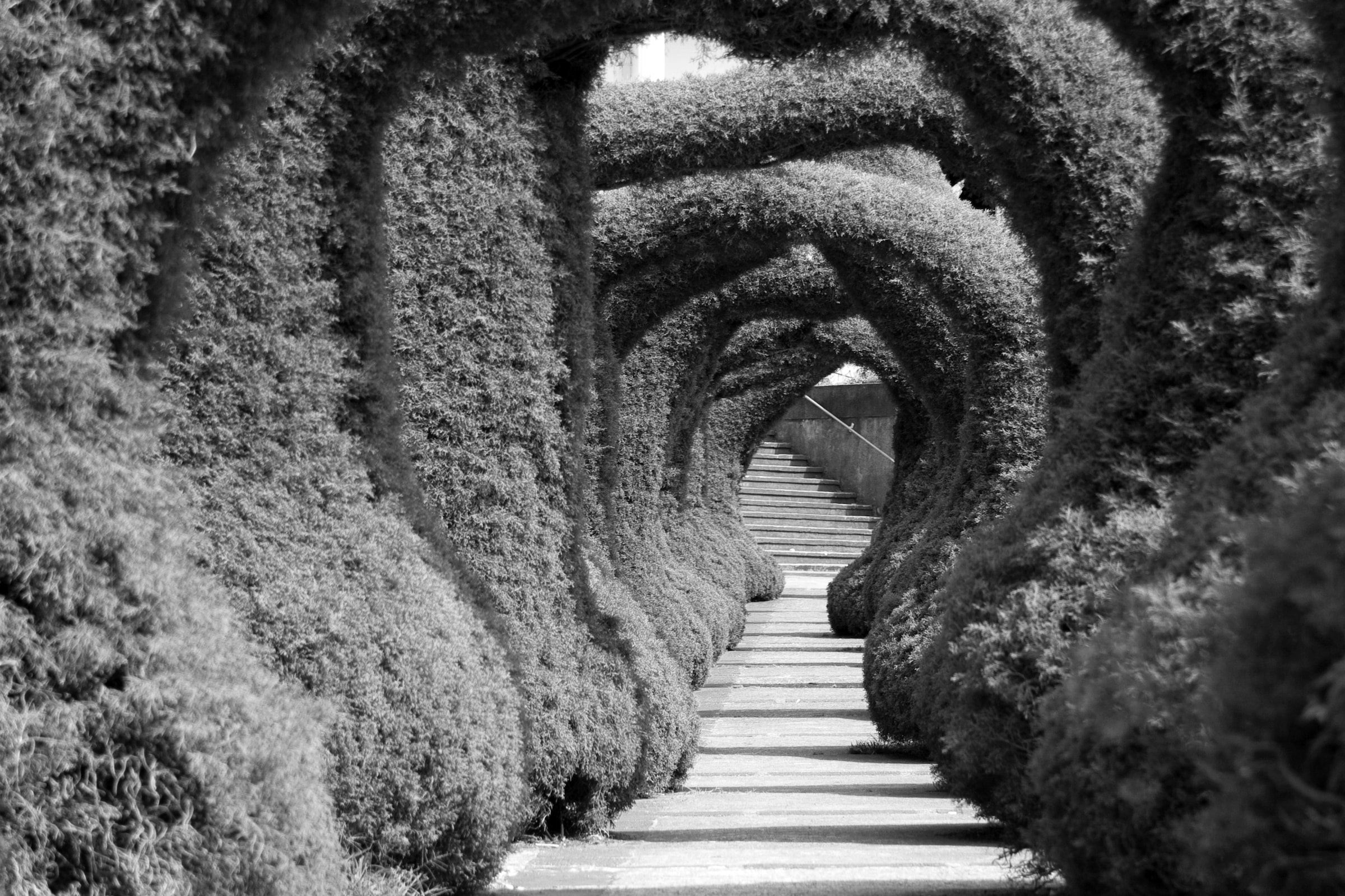Papermoon Fototapete »Treppe Schwarz & Weiß«