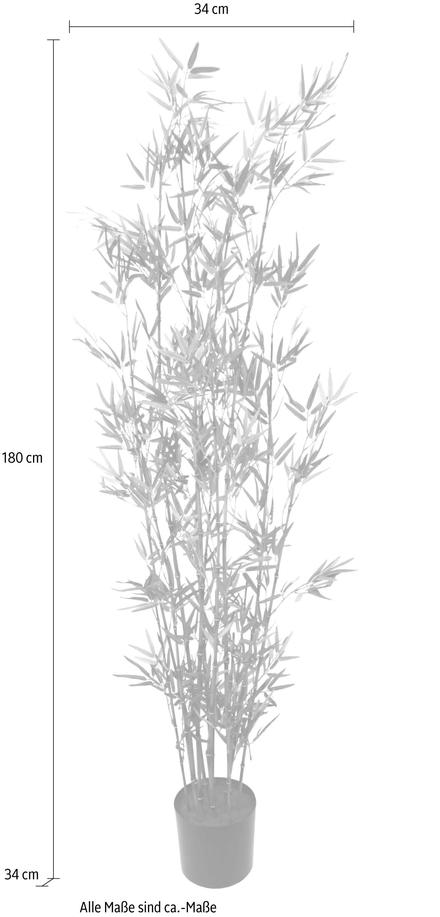 Kunstpflanze Garantie »Bambus I.GE.A. online | im Topf« mit Jahren kaufen 3 XXL