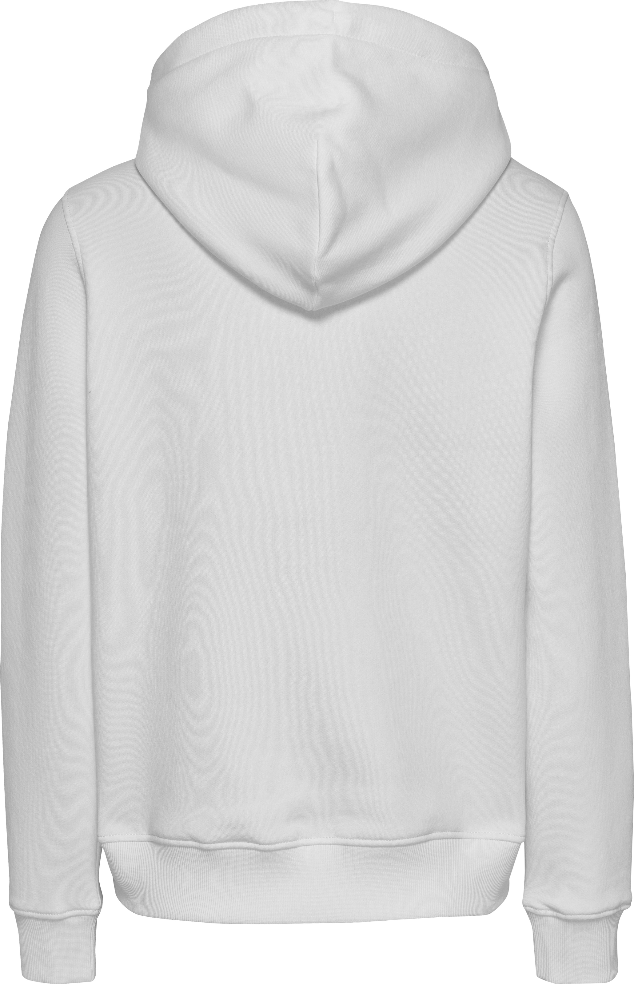Tommy Jeans Kapuzensweatshirt »TJW REG LINEAR HOODIE«, mit Logoschriftzug