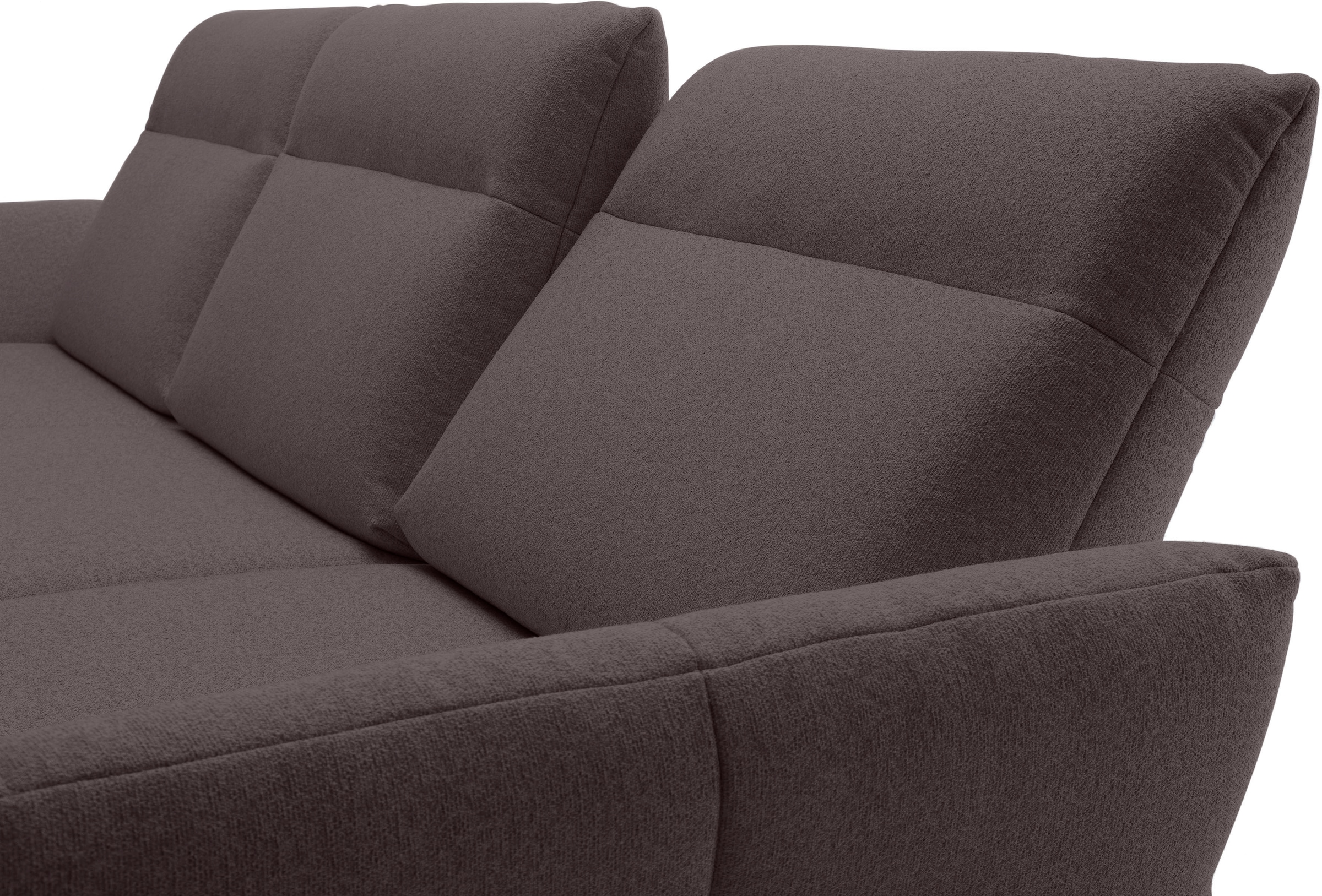 Creation BY ROLF BENZ Ecksofa »CR.460«, Sockel in Eiche, Alugussfüße in umbragrau, Breite 298 cm