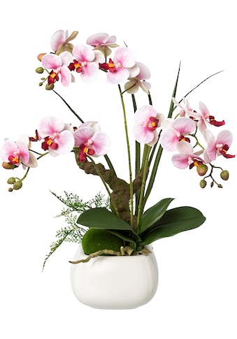 Kunstorchidee »Deko-Orchidee Phalaenopsis im Keramiktopf«