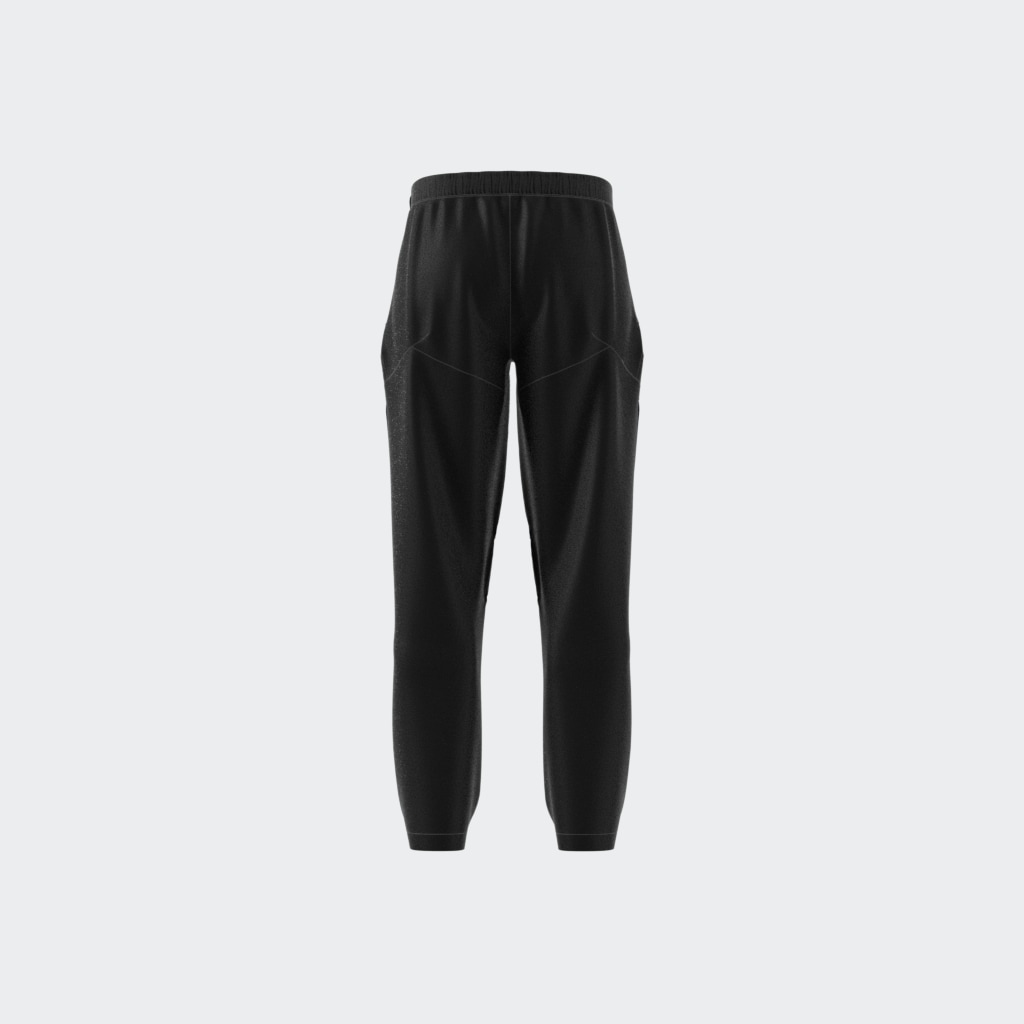 adidas TERREX Outdoorhose »XPLORIC PANTS«, (1 tlg.)