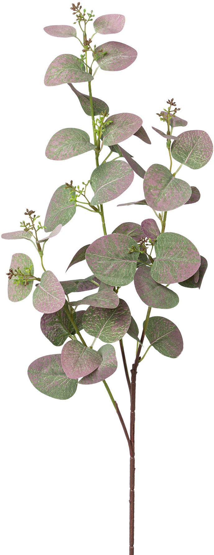 Creativ green Kunstzweig »Eukalyptuszweig«